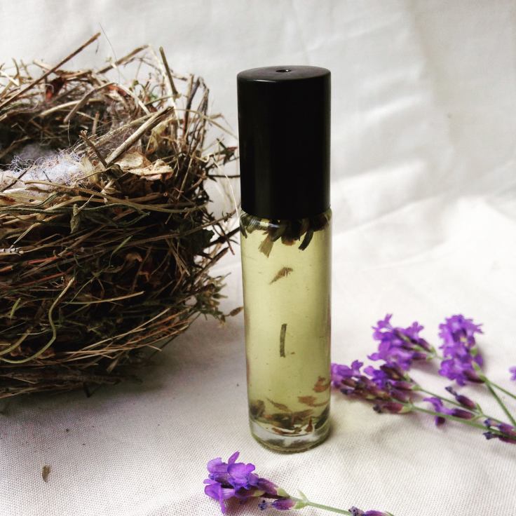 20232927_1601347429897228_7188511944585344432_o